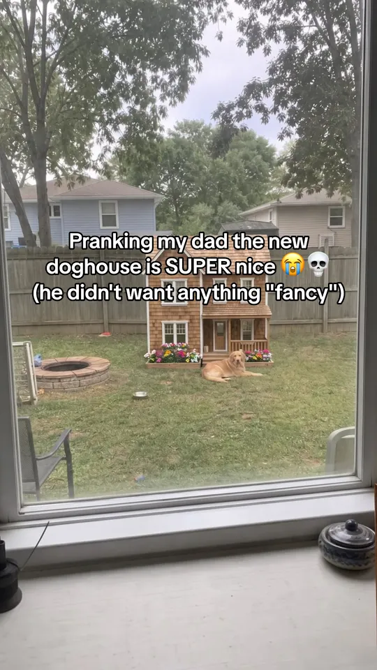 Prank post over a window view of a backyard: pranking my dad, the new doghouse is super nice
